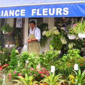 Alliance Fleurs]